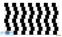 神奇图片-挑战右脑4